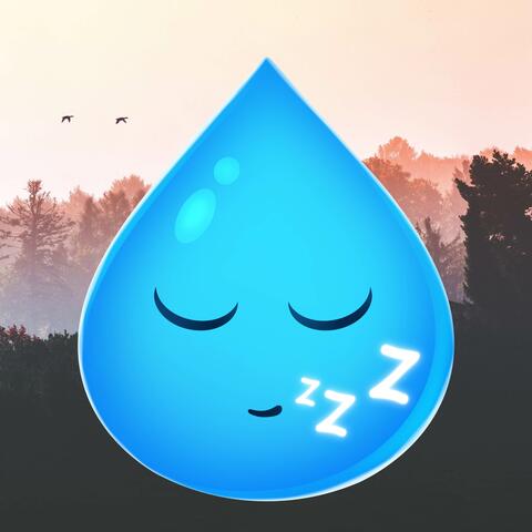 Raindrops Between Wind: Deep Sleep Music