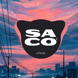Sa Cơ (TrinhZ Remix)
