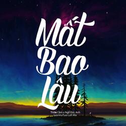 Mất Bao Lâu (Thiên Cầm x Ngô Đức Anh x LuonVuiTuoi Lofi Remix)