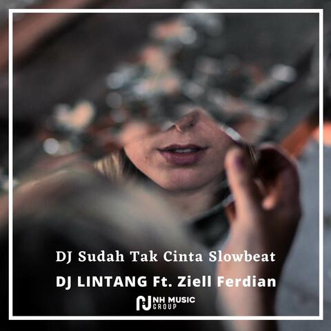 DJ Sudah Tak Cinta Slowbeat