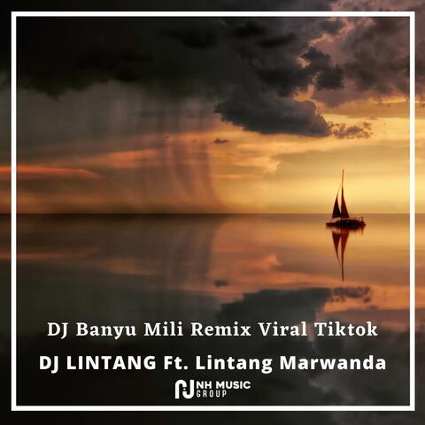 DJ Banyu Mili Remix Viral Tiktok