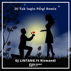 DJ Tak Ingin Pergi Remix