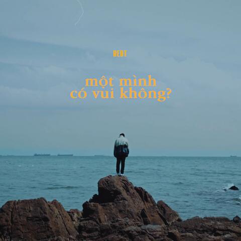 Một Mình Có Vui Không?