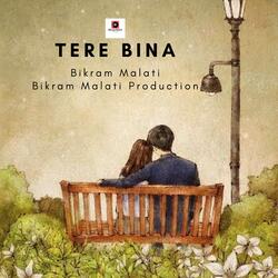 Tere Bina