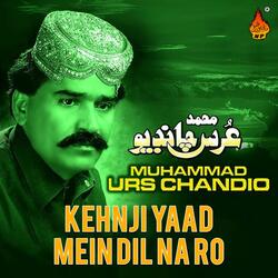 Mohnji Hin Dil Ji Dawa Tokhan Siwa