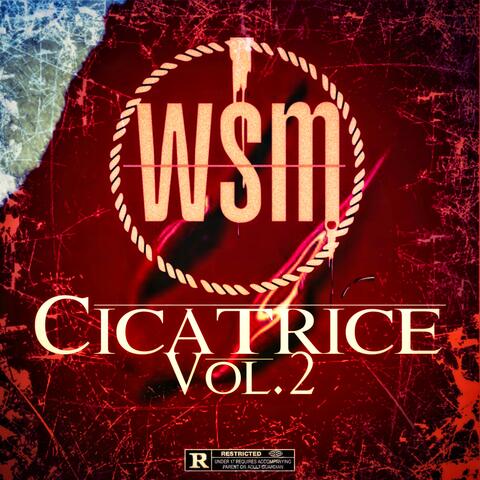 Cicatrice vol.2