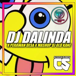 DJ DALINDA X PERAWAN DESA MASHUP OLD