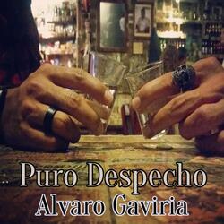 Te Di Olvido