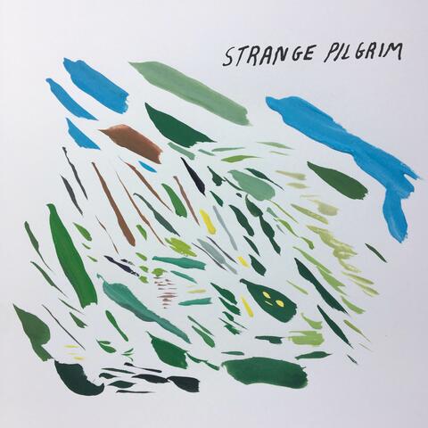 Strange Pilgrim