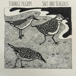 Salt and Seagulls