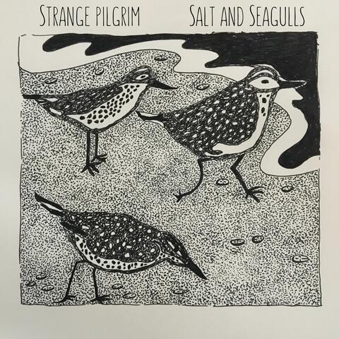 Salt and Seagulls