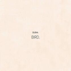 Bird.