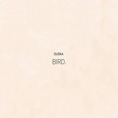Bird.