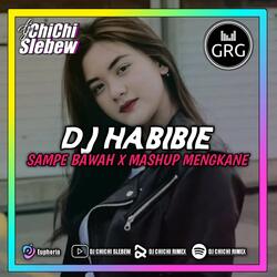 DJ HABIBIE X SAMPE BAWAH MASHUP MENGKANE