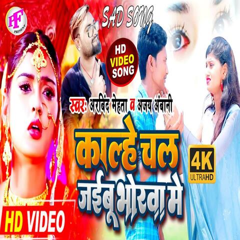 Chhauri Laukata Gol Tor Dhoriya