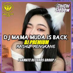 DJ MAMA MUDA IS BACK MASHUP KANE