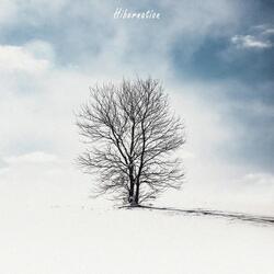 Hibernation