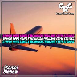 DJ INTO ARMS X MENIMISU SLOWED