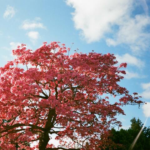 afterthoughts