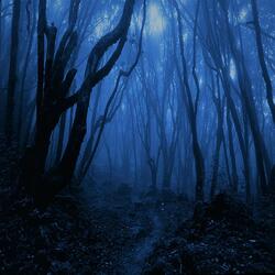 Mist