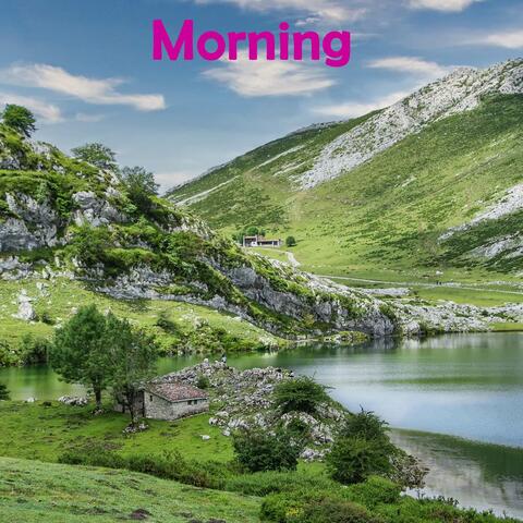 Morning