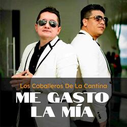 Despecho Por Siempre