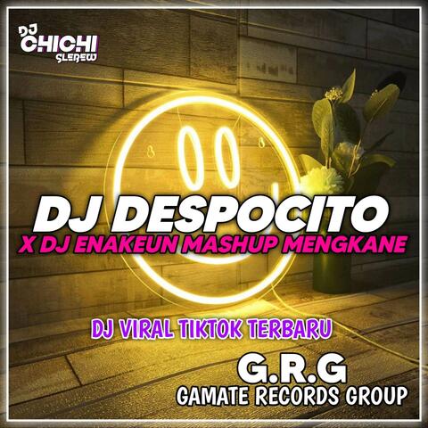 DJ DESPACITO X DJ ENAKEUN MASHUP MENGKANE