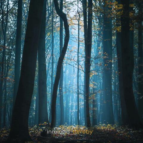 Torreby