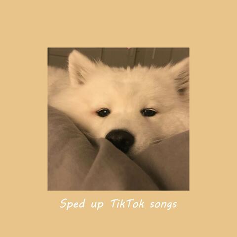Sped up TikTok songs | Sped up Orinn #23