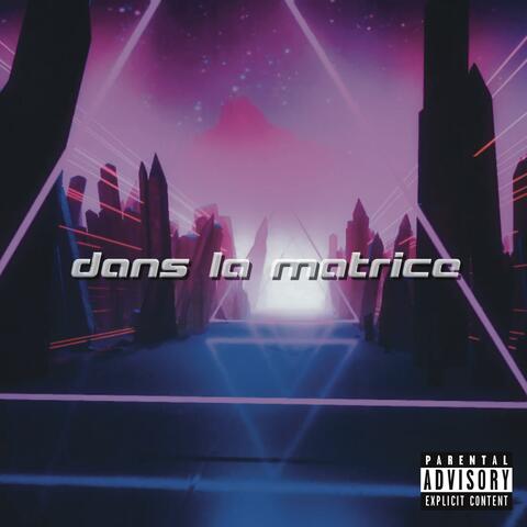 Dans la matrice