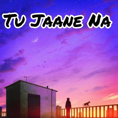 Tu Jaane Na