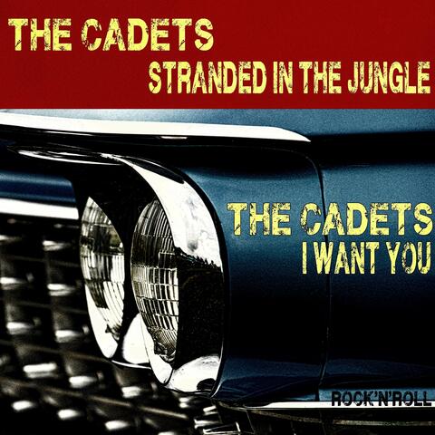 Stranded In The Jungle - I Want You