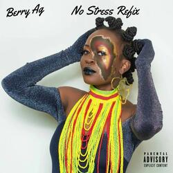 Wizkid No Stress Refix