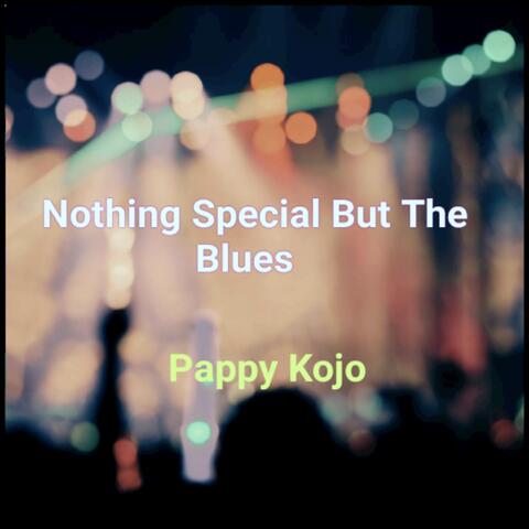 Nothing Special But The Blues