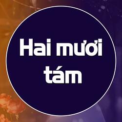 Hai mươi tám