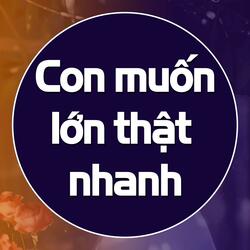 Con muốn lớn thật nhanh