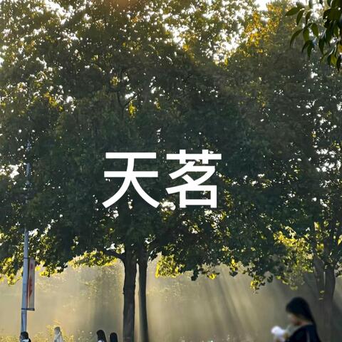 天茗