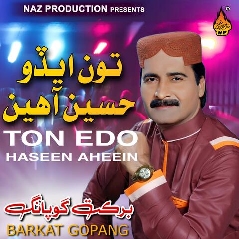 Ton Edo Haseen Aheein
