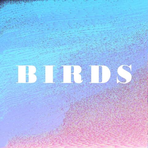 B I R D S