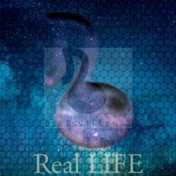 Real Life