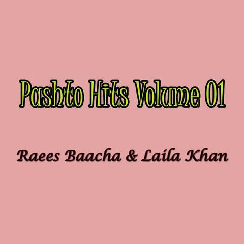 Pashto Hits, Vol. 1