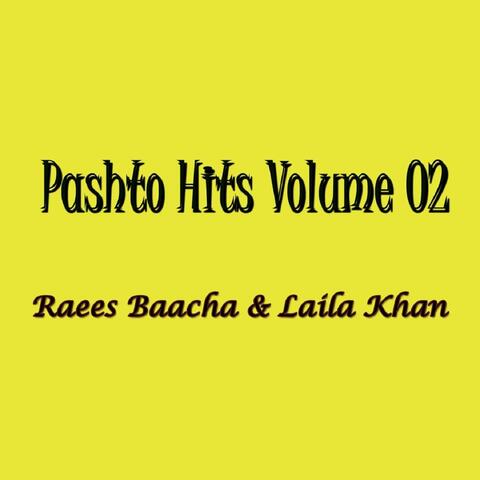 Pashto Hits Vol. 2