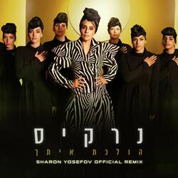 הולכת איתך