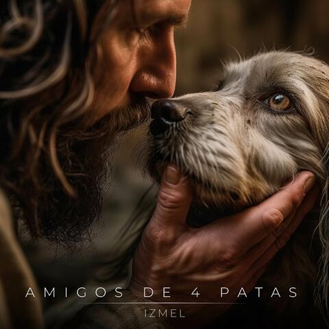 Amigos de 4 patas