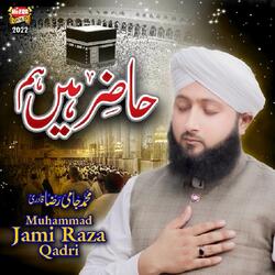 Hazir Hain Hum
