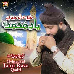 Yaad e Muhammad