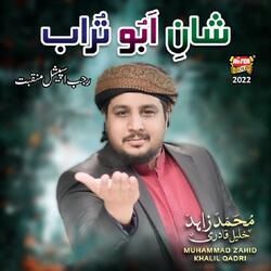 Shan e Abu Turab