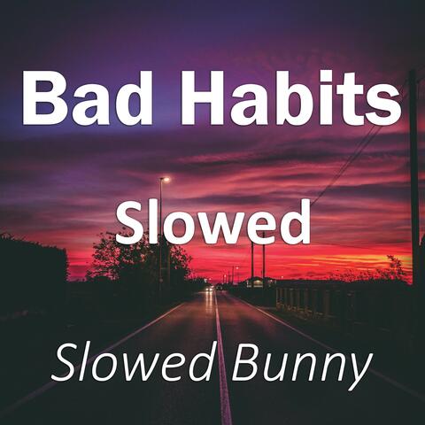 Slowed Bunny
