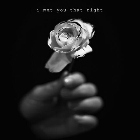 I Met You That Night