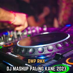 DJ MASHUP PALING KANE